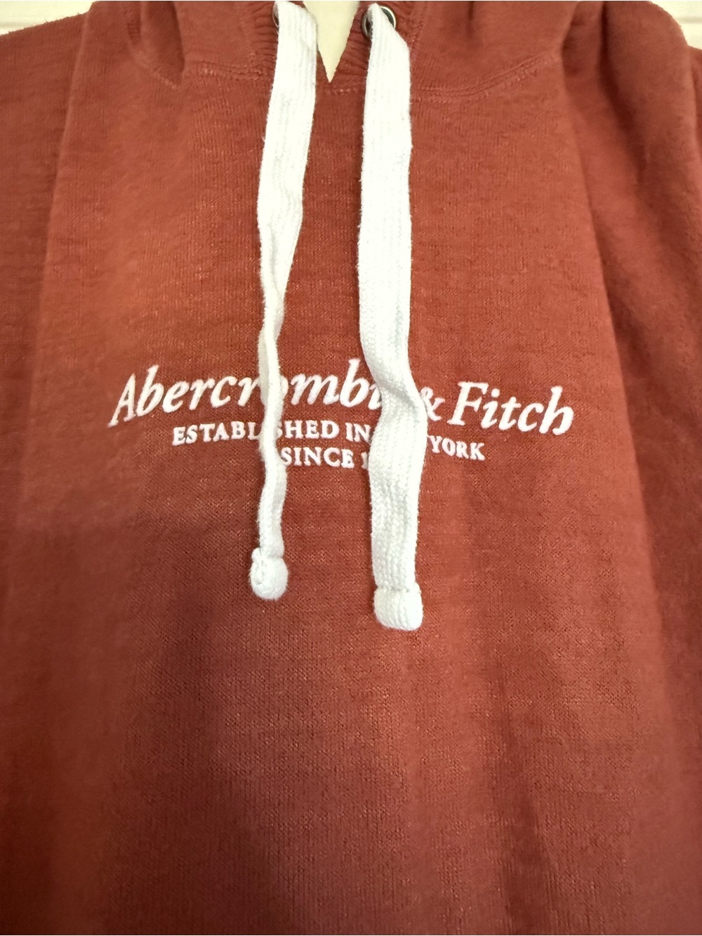 Abercrombie & Fitch Rust Hoodie Top - Picture 2 of 4